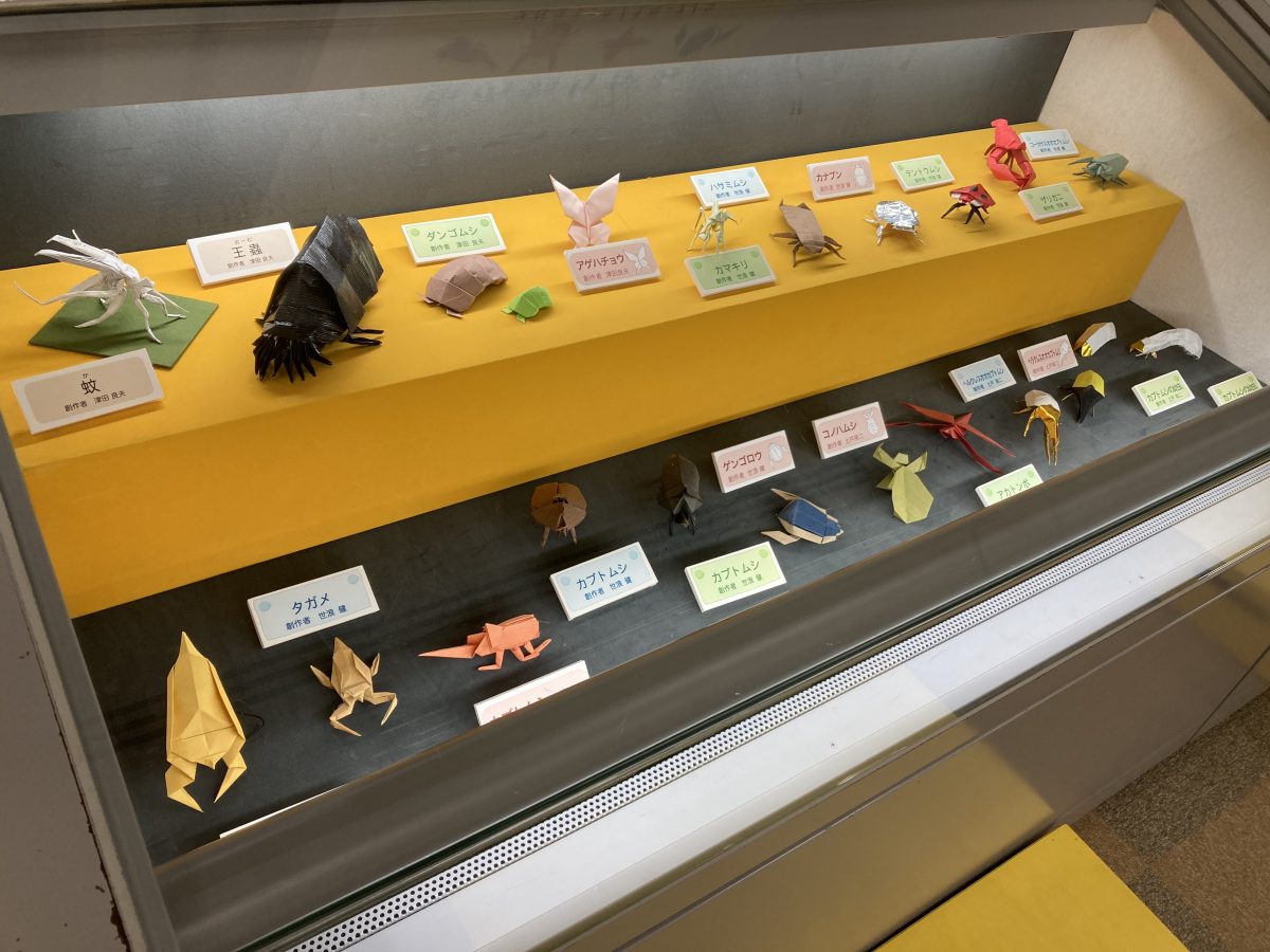 プチ展示 虫のおりがみ は10月4日 月 まで期間延長します 伊丹市昆虫館へようこそ プチ展示 虫のおりがみ は10月4日 月 まで期間延長します 伊丹市昆虫館へようこそ