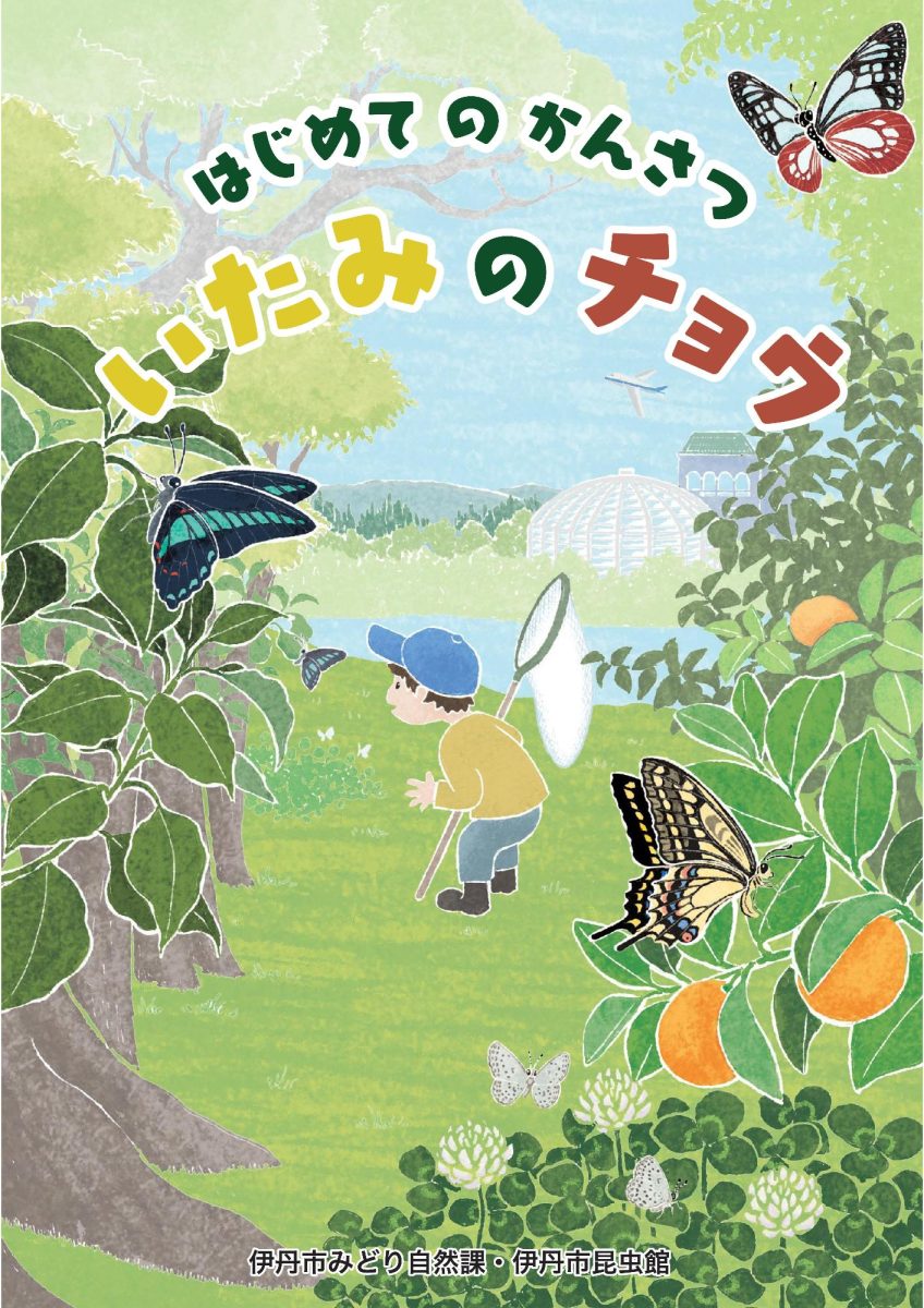 クヌギ